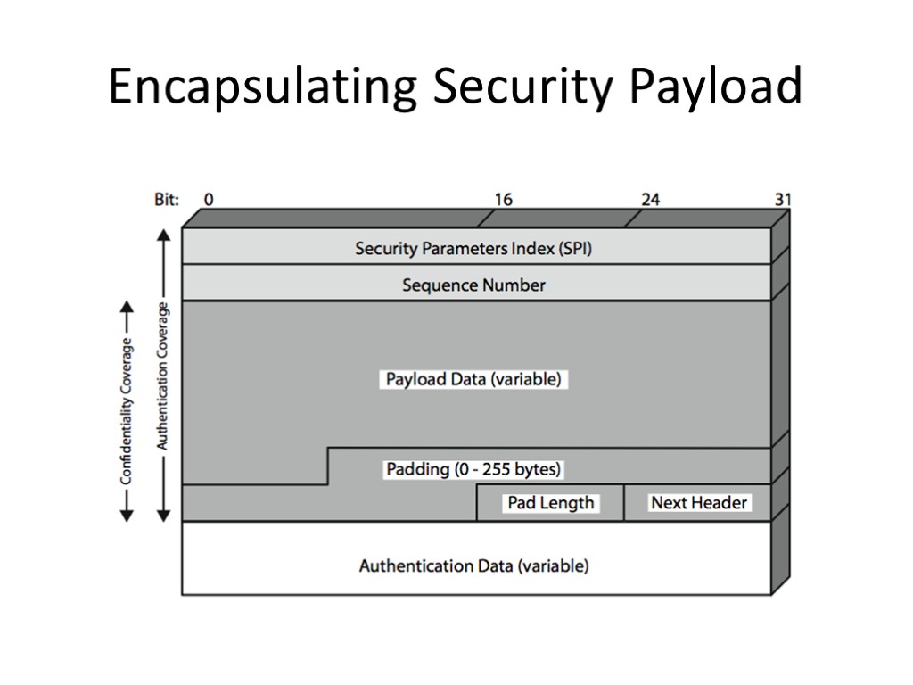 Encapsulating Security Payload